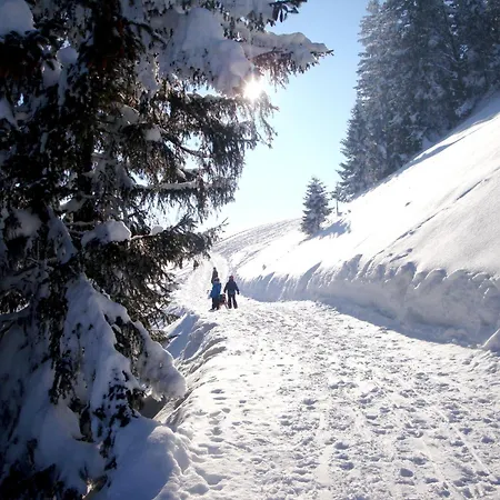 Apartamento Gaestehaus Alpseeblick